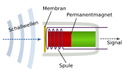 Schema eines Tauchspulenmikrofons
