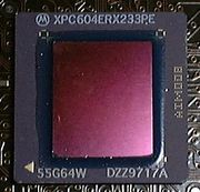PowerPC 604e 233 MHz, montiert auf einer Phase5 CyberStormPPC Karte für Amiga-Rechner